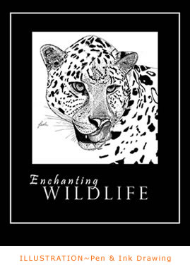 Ink Drawing and Poster Design