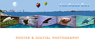 San Diego Bay - Poster & Digital Photography